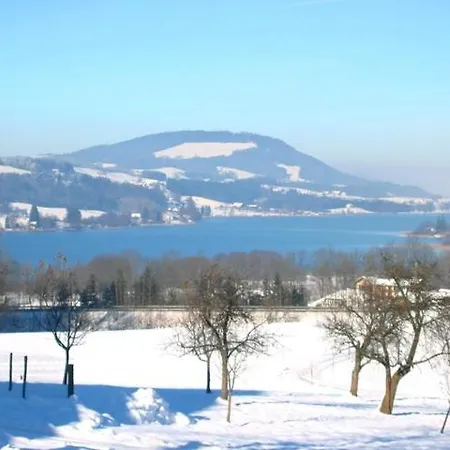 Daire Winter *